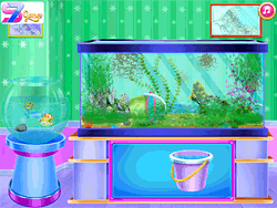 Aquarium and Fish Care