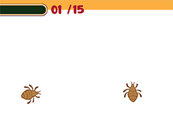 Blonde Sofia: Scalp Scaling