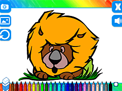 Coloring Book Animals