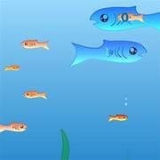 Fishy – Fish Eat Fish