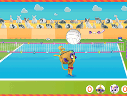 Nick Jr.: Super Snuggly Sports Spectacular!