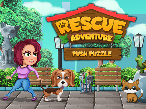 Push Puzzle Rescue Adventure