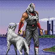 Shadow Dancer: The Secret of Shinobi (Arcade)