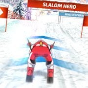 Slalom Hero